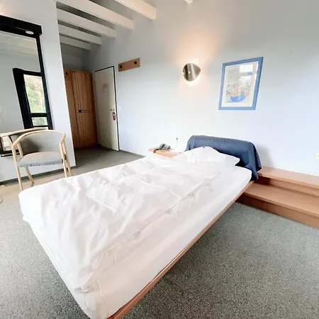 Regiohotel Wittekind Burg 3*
